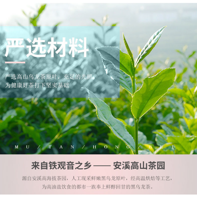 250g Premium Chinese Oolong Tea Black Oolong Tea Slimming Tea