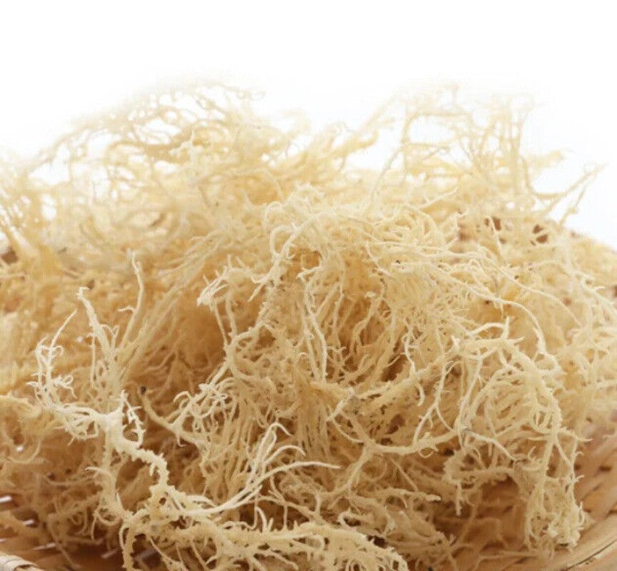 500g Bio Irisches Seemoos – Roh, Vegan & Non-GMO Getrocknete Algen