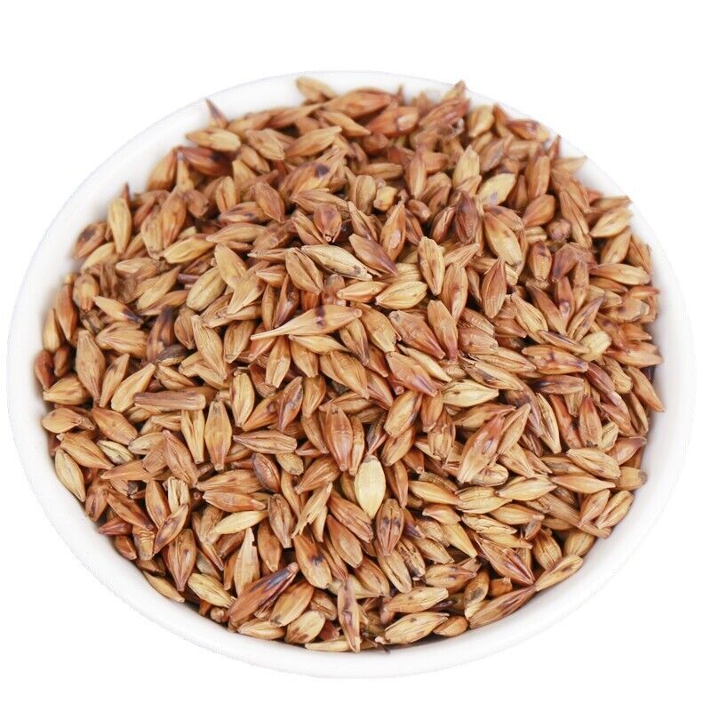 HelloYoung 500g Hot sale Wang He Tang barley tea quality roasted taste mellow Main image