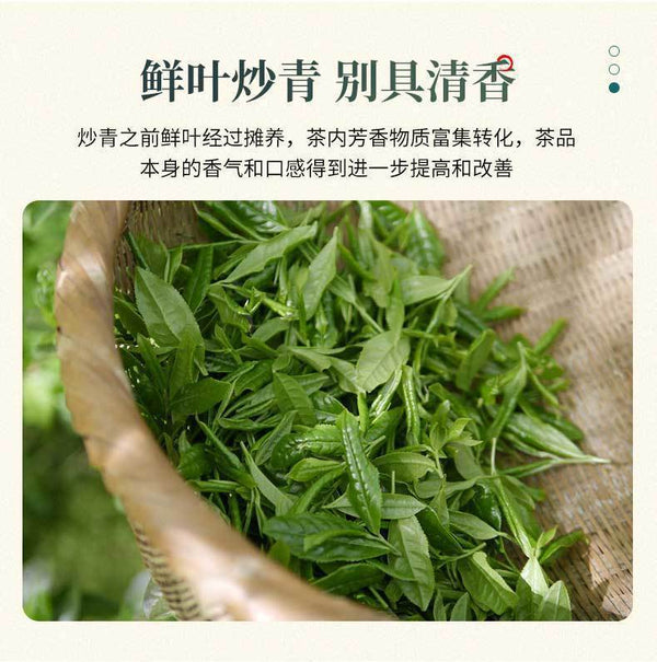 HelloYoung Green Tea Green Biloba Roll Green Tea New Tea Strong Fragrance Type Extra 100g
