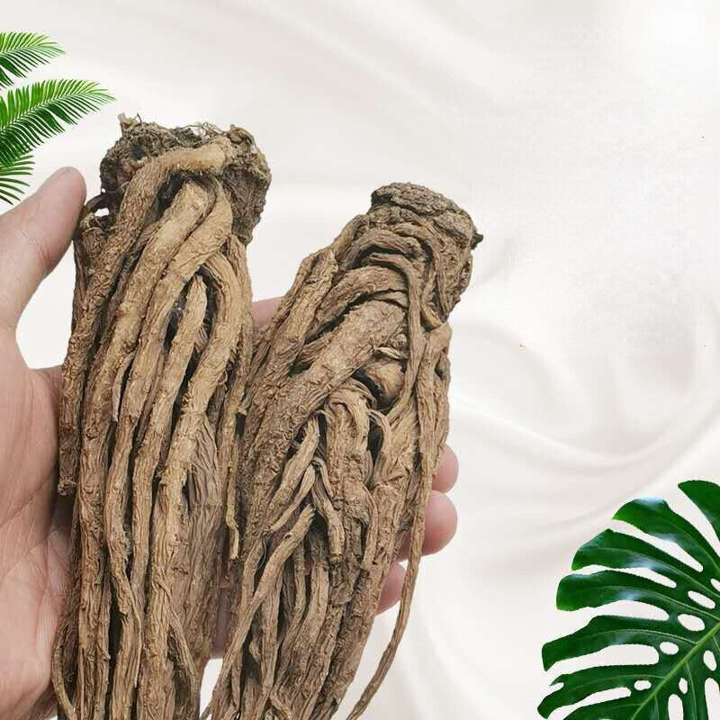 HelloYoung Angelica Whole Root Herbal Tea Ecology Danggui Chinese Herbs Medicine 250g-500g