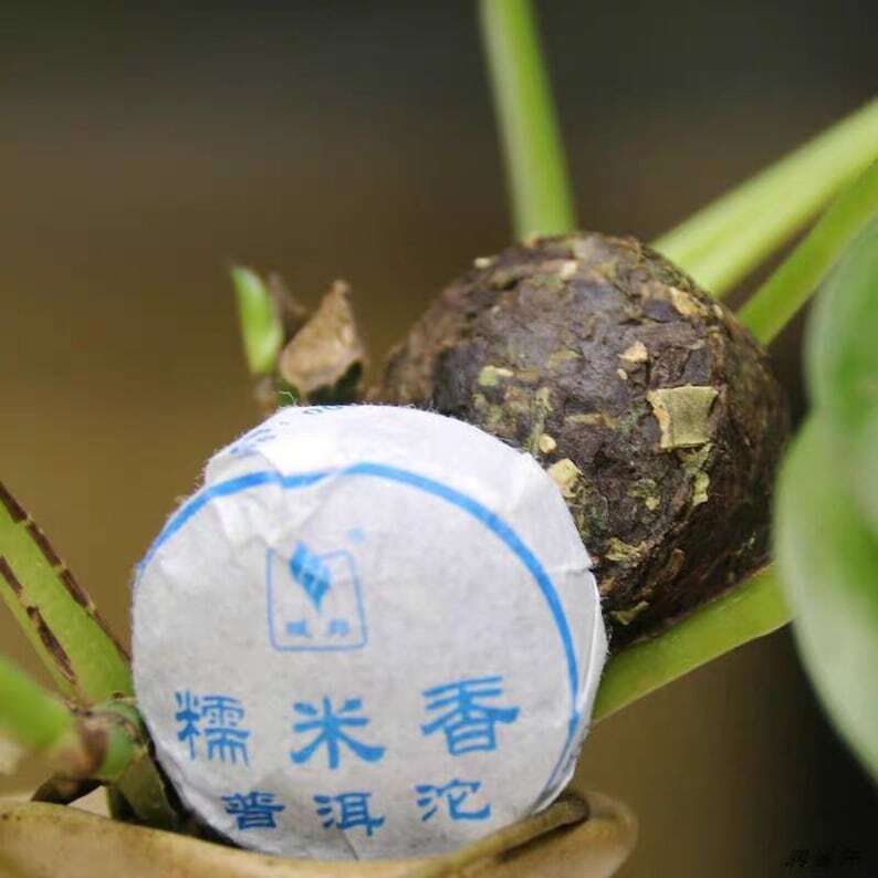 Chinese Pu Erh Tea Xiao Tuo Cha Yunnan Ripe Puerh Puer Tea Mini Tuocha