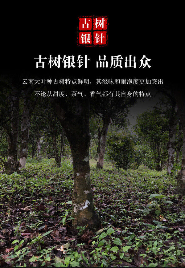 HelloYoung 357g white hair silver needle Yunnan ancient tree tea cake moonlight white tea