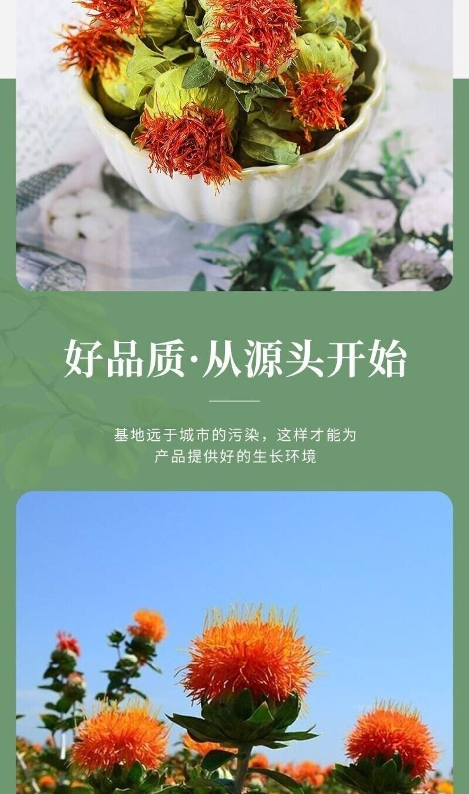 Premium Whole Safflower 250g Authentic Chinese Herbal Health Tea
