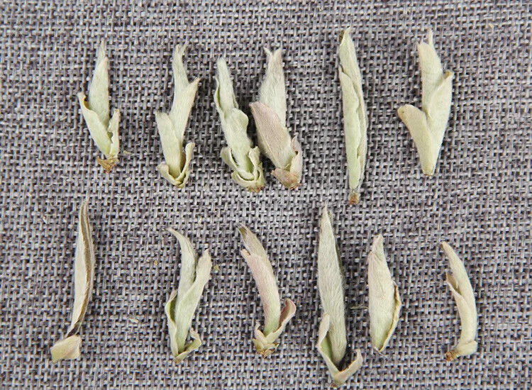 Yunnan Puer Tea 500g Loose Shen Puerh White Buds Bai Ya Bao Yunnan Pu Erh Cha