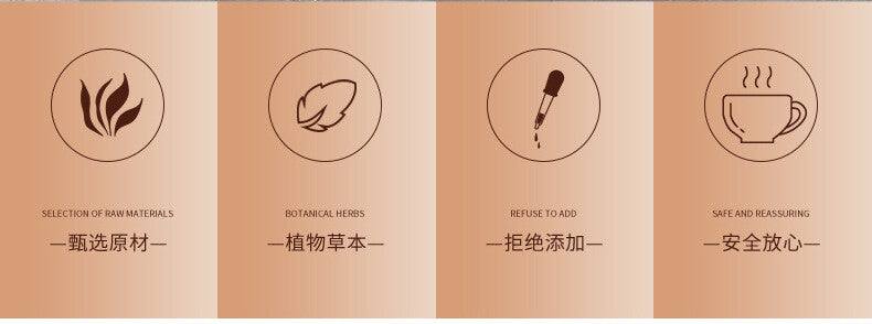 Four Treasures Tea: Astragalus, Codonopsis, Ginseng, Lingzhi Bags