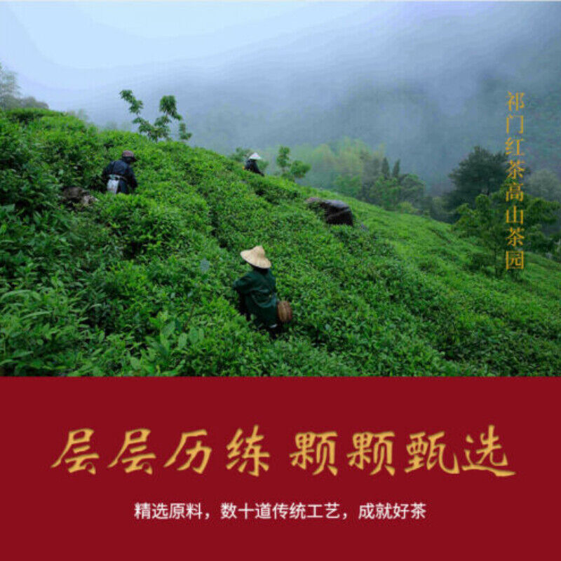 HelloYoung 100g Top Chinese Keemun Black Tea Anhui Premium Qimen Qi Men Gongfu Hong Cha