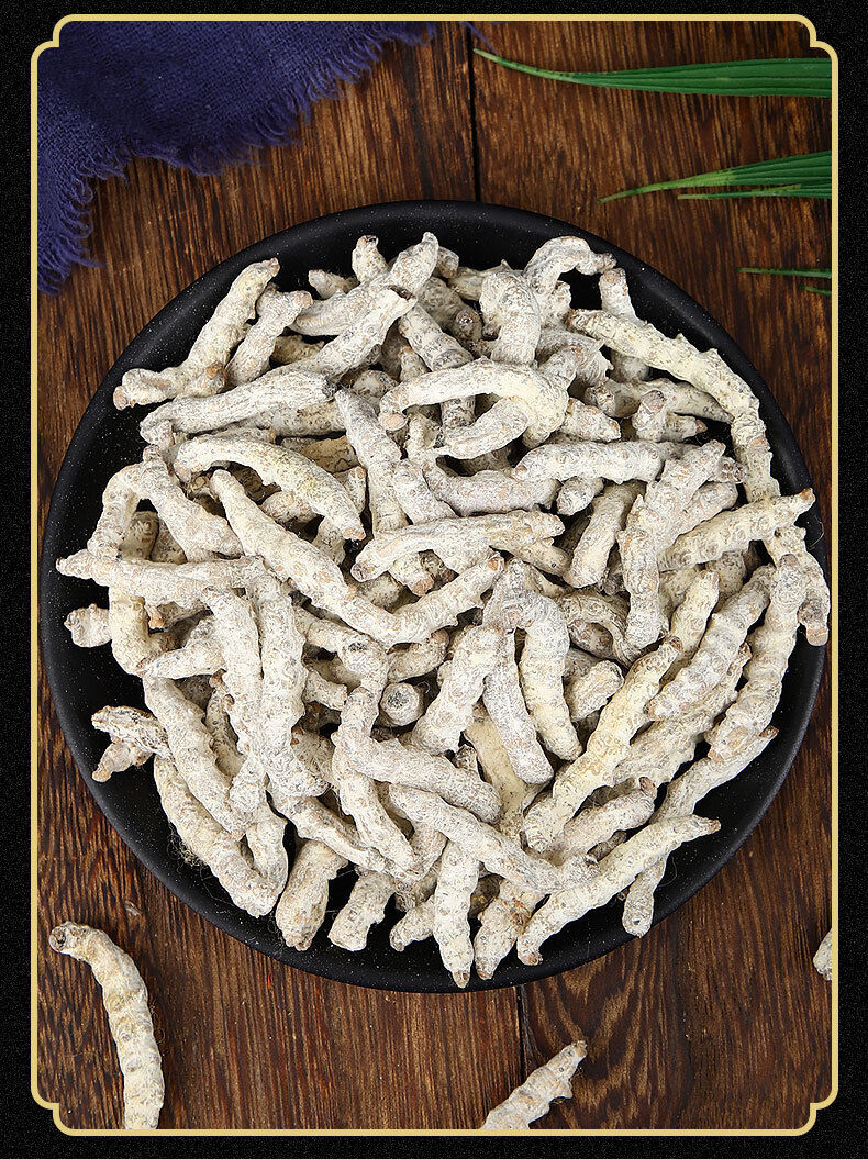 HelloYoung Stiffworms Chinese Herbal Medicine Stiffworms White Stiffworms 500g/1.1lb