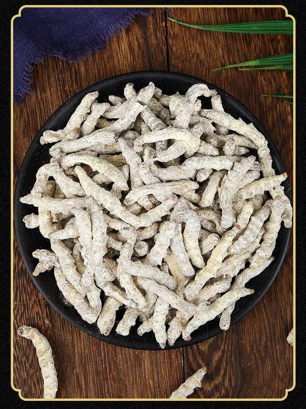 HelloYoung Stiffworms Chinese Herbal Medicine Stiffworms White Stiffworms 500g/1.1lb