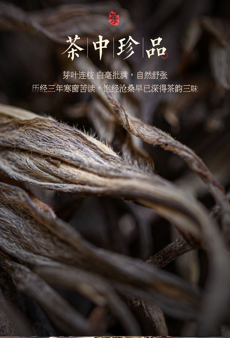 Plum Turnip Ancient Tree Puerh Tea Cake Aged Old Tree Head Spring Tea 357g