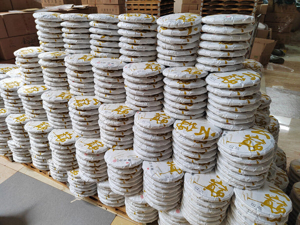 HelloYoung Scraping Walled Pu'er Tea Cake Yiwu Ancient Tree Raw Tea First Spring Yunnan Tea