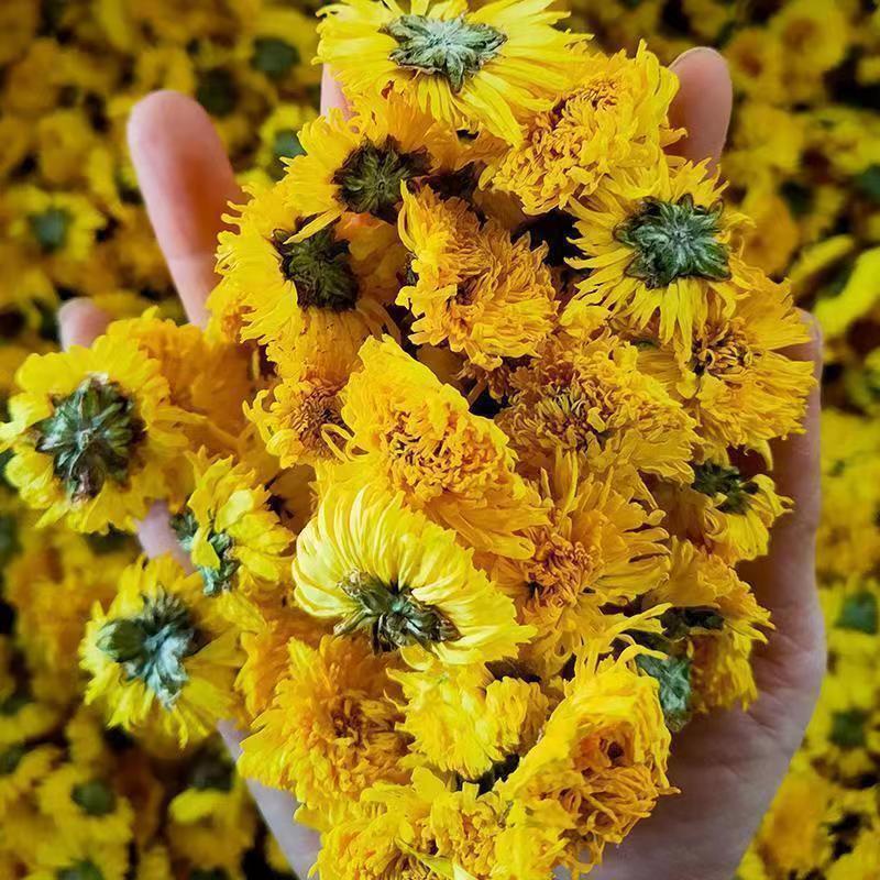 Chrysanthemum TeaWuyuan Authentic Huangshan Royal Chrysanthemum Tea