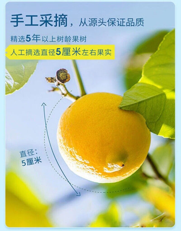 Lemon Slices Fruit Tea Dried Lemon Slices Vitamin C Supplement Lemon Tea 125g