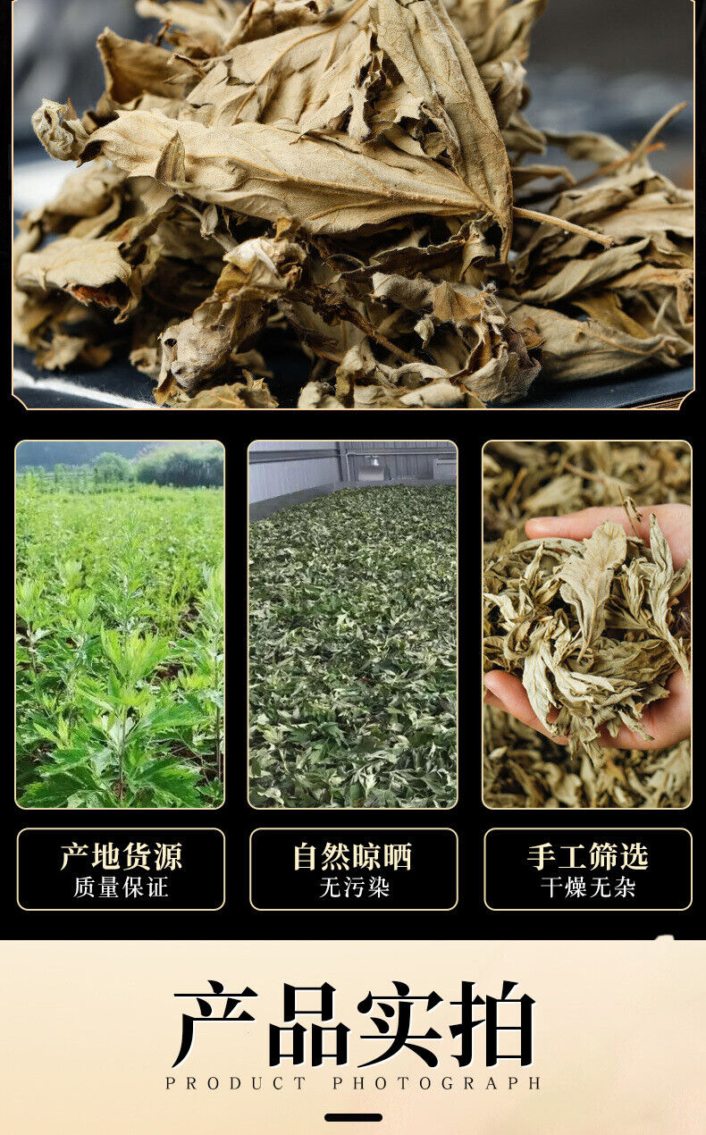 HelloYoung Big Mugwort Leaf Mugwort Leaf Fresh Mugwort Leaf Produce Mugwort Herb 500g/1.1lb