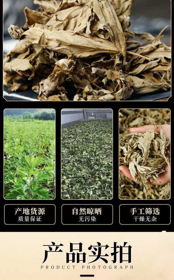 HelloYoung Big Mugwort Leaf Mugwort Leaf Fresh Mugwort Leaf Produce Mugwort Herb 500g/1.1lb
