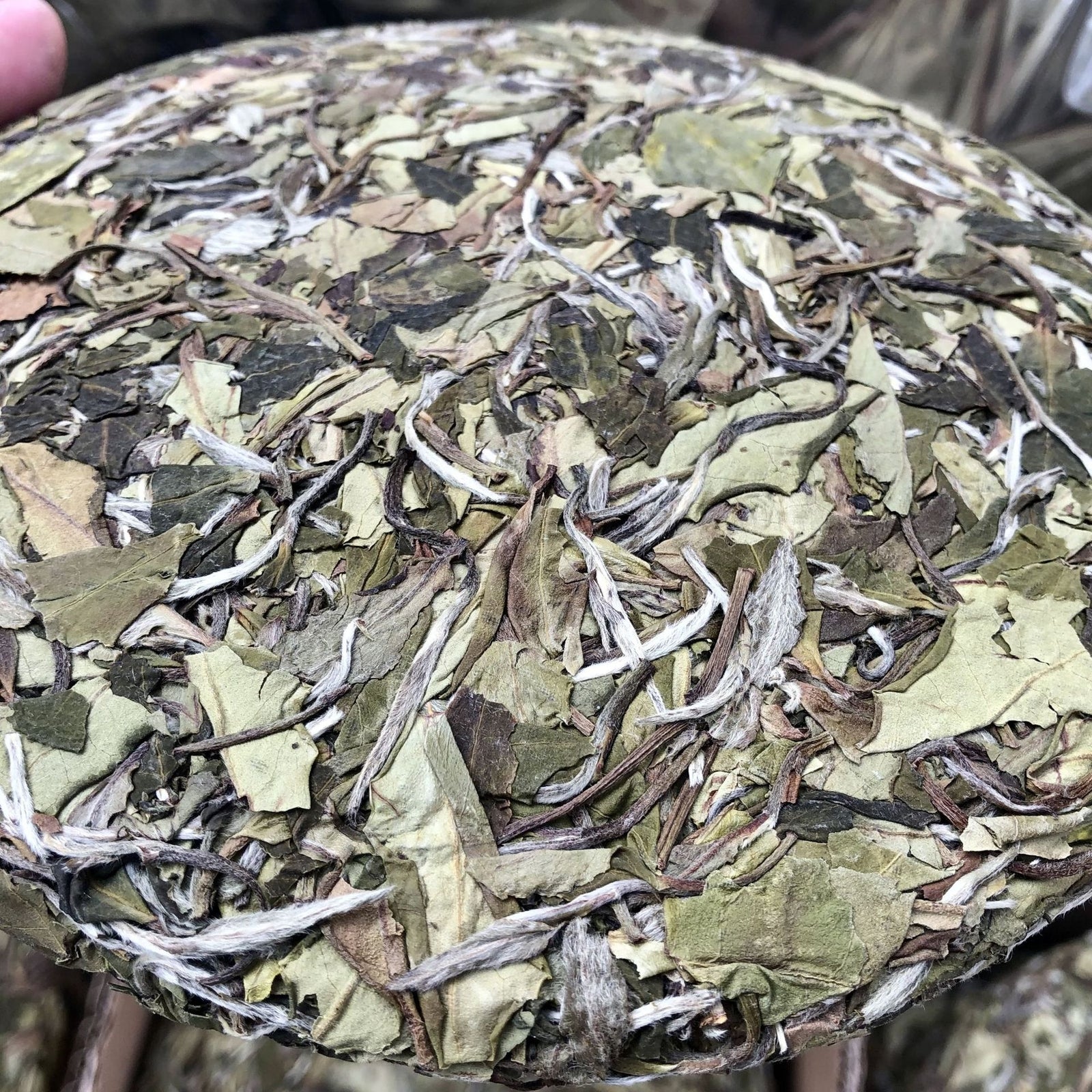 350g  White Peony Tea  Spring Tea Cake White Tea Barren Mountain Sun Tea Cake