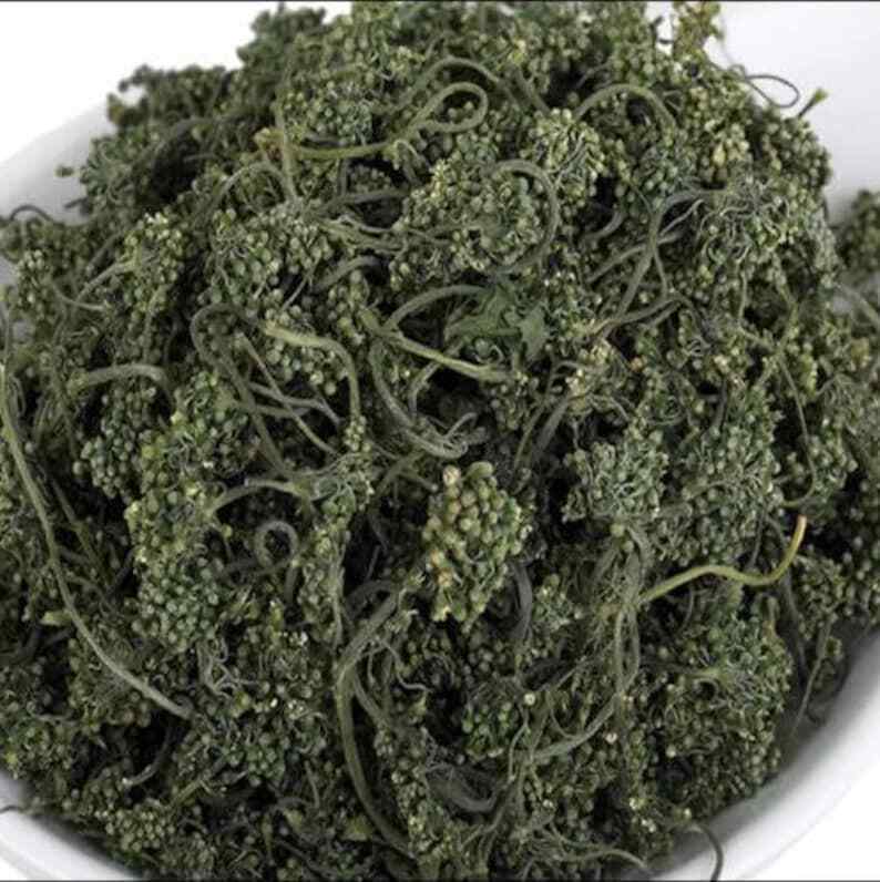 Ginseng Flower Tea, Panax Ginseng Of Flowers, Ginseng Flower Nature Herbal Tea