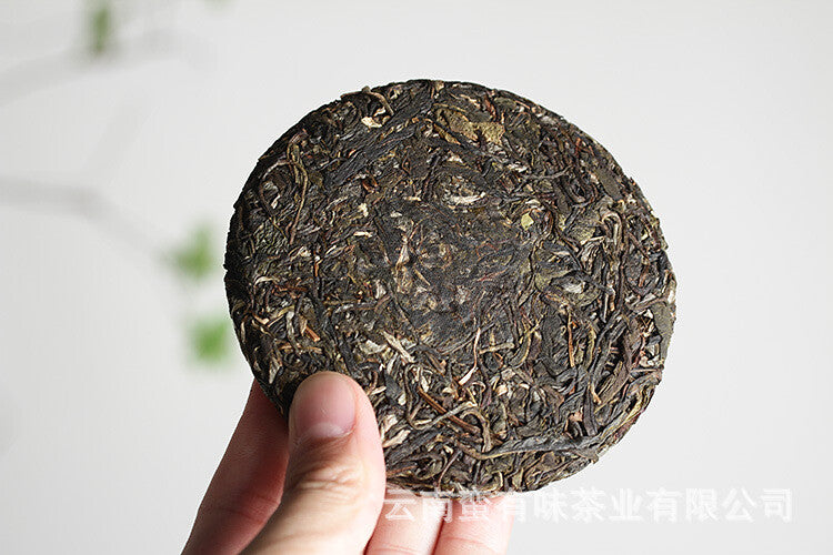 2021 Old Tree Tea 100g Daxue Mountain Small Cake Raw Tea Tea Yunnan Puerh Tea