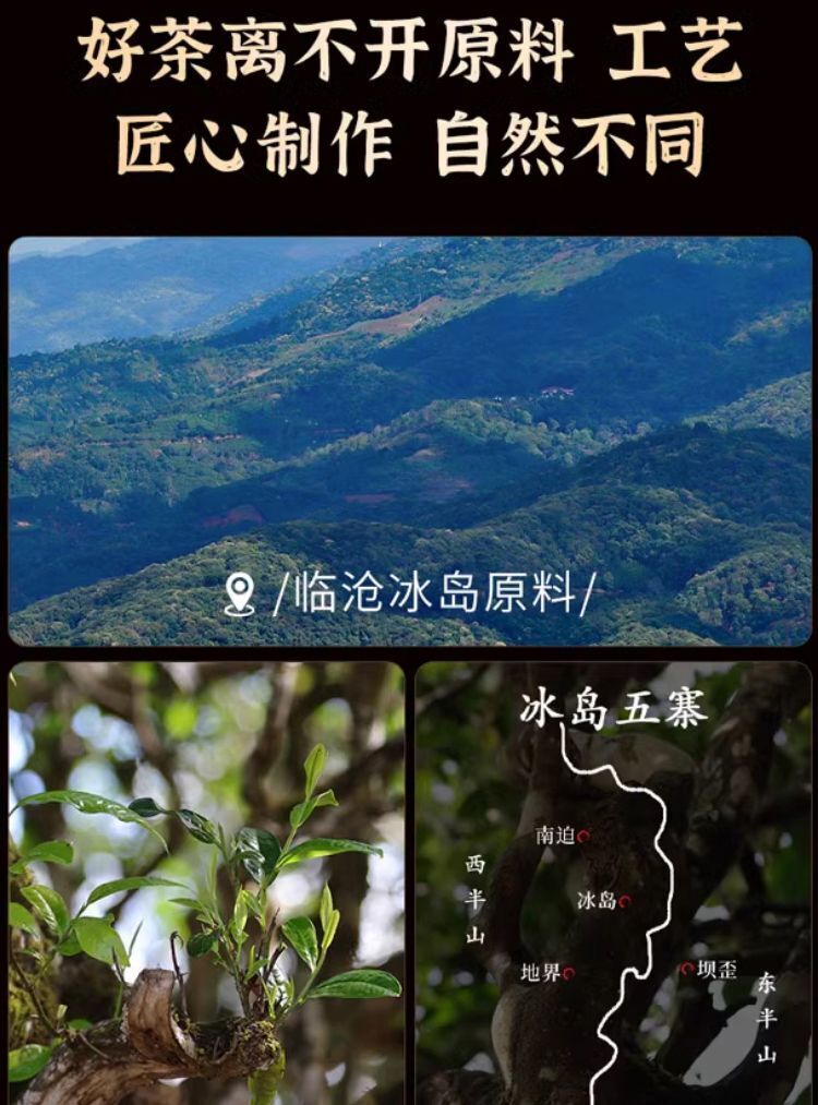 Iceland Golden Bud Puerh Tea Ripe Ten Years Aged Sweet Qiaomu Nanzi Cake 357g