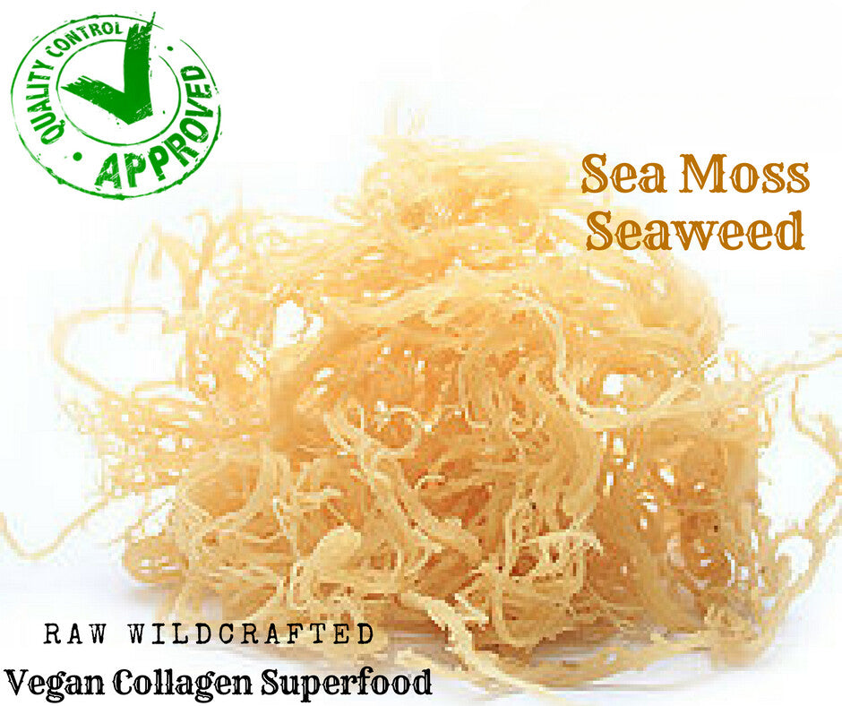 Organic Whole Leaf Irish Moss Sea Moss 8 Oz | Raw WildCrafted Superfood