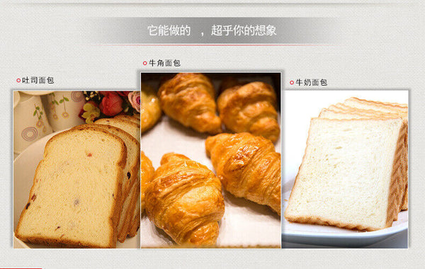Angel Yeast High Activity High Sugar Tolerant Dry Yeast Powder Baking Powder