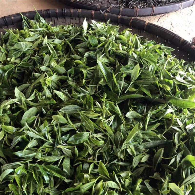 HelloYoung Raw Tea Cakes 357g Pu'er Green Tea Healthy Drink Yunnan Menghai Spring Pu-Erh