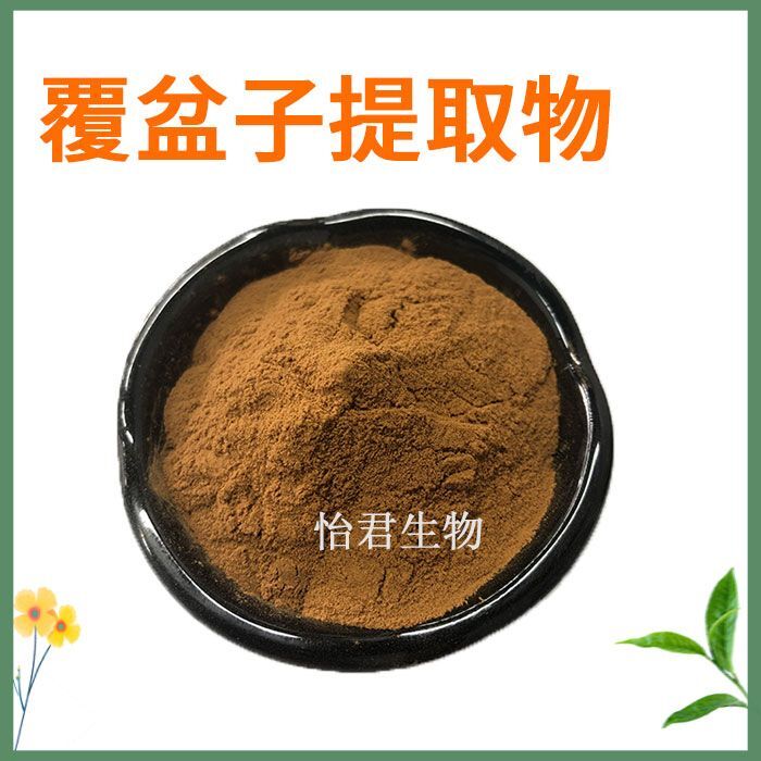 Premium Raspberry Extract 20:1 Raspberry Powder Concentrate