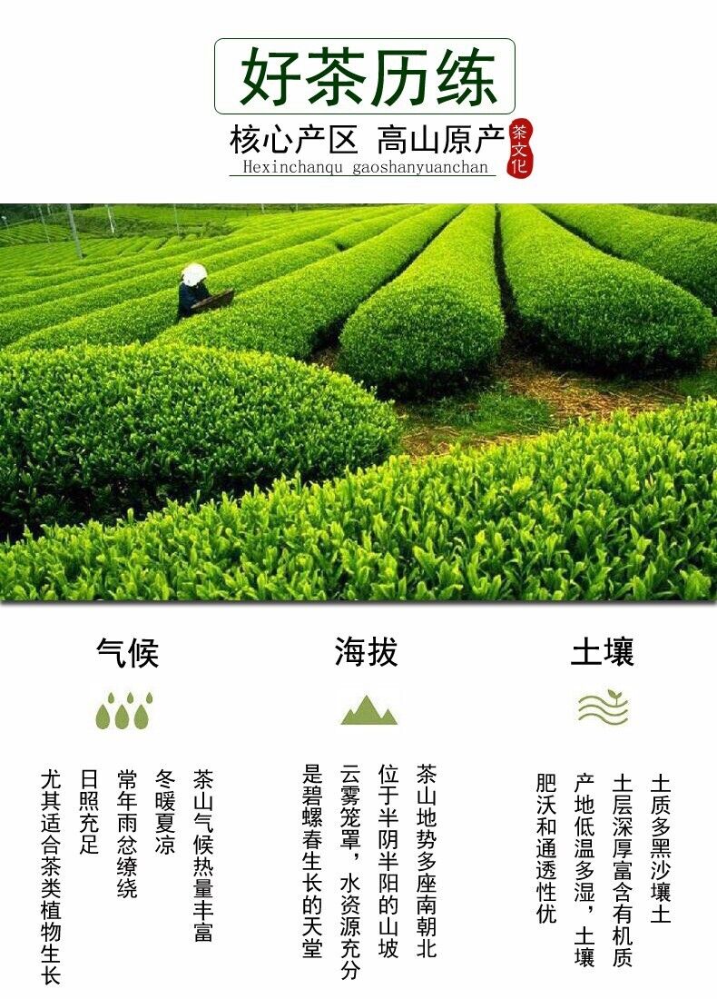 HelloYoung Biluochun New Tea Suzhou Dongting Biluochun Tea Leaves Spring Tea Green Tea 250g