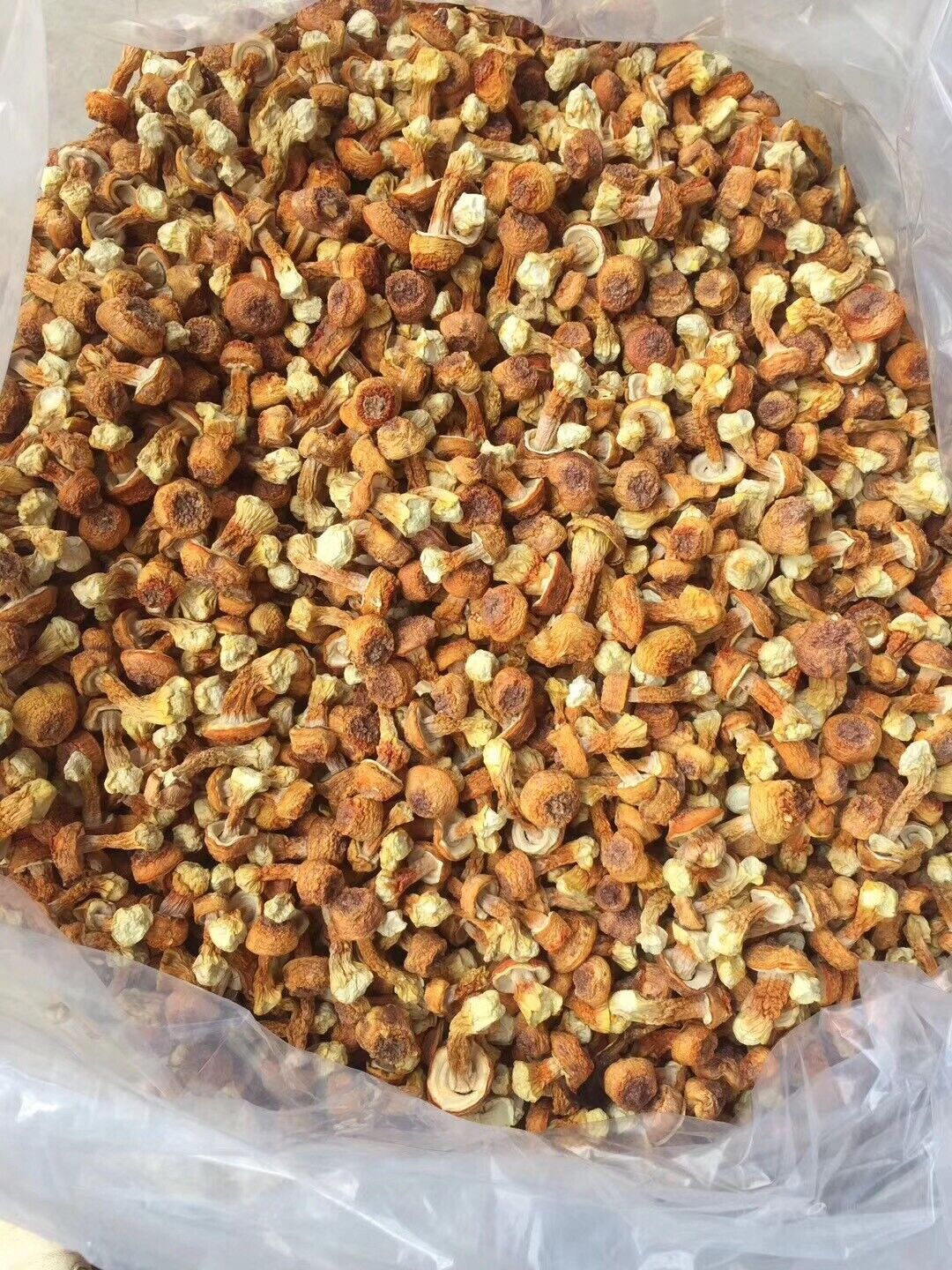JiSongRong Top Grade Brazil Mushroom for Cooking Soup  Dried Goods 100g/3.52oz Secondary image