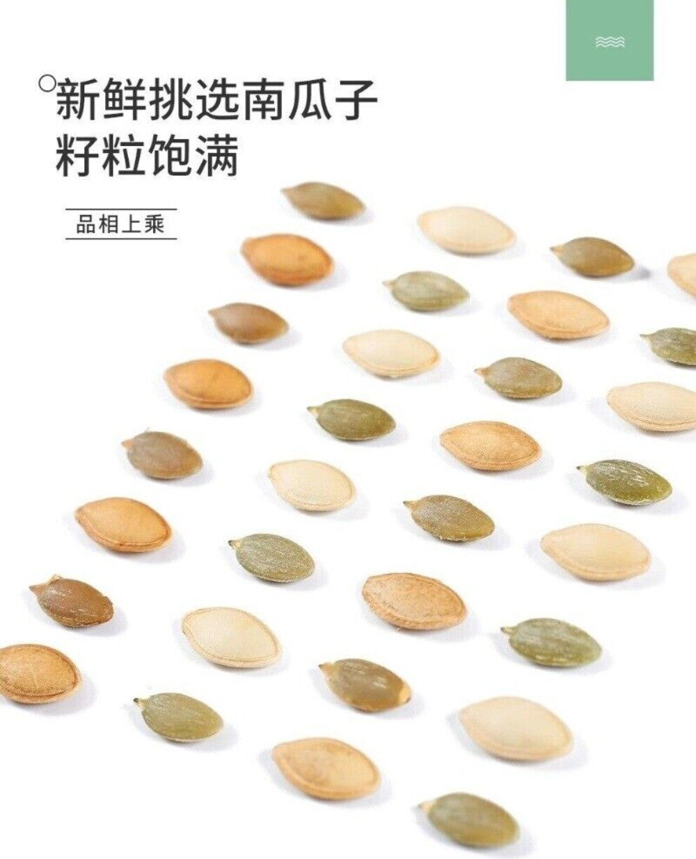 Roasted Pumpkin Seeds 500g Salted Spiced Healthy Fresh Snack