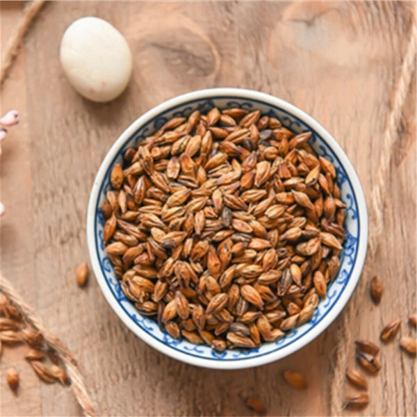 Gerstentee Itoen Japanese Mugicha Roasted Barley Tea Mugicha Roasted Barley Tea