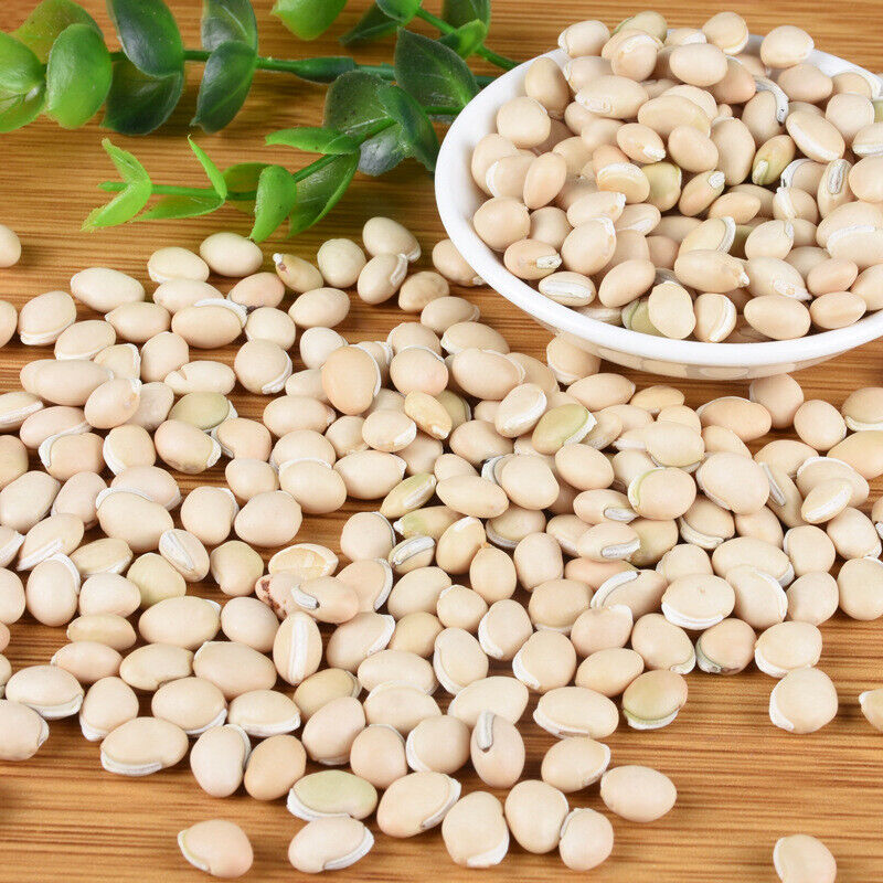 HelloYoung New White lentils Selected medicinal lentils Tonic herbs Stews 500g/1.1lb