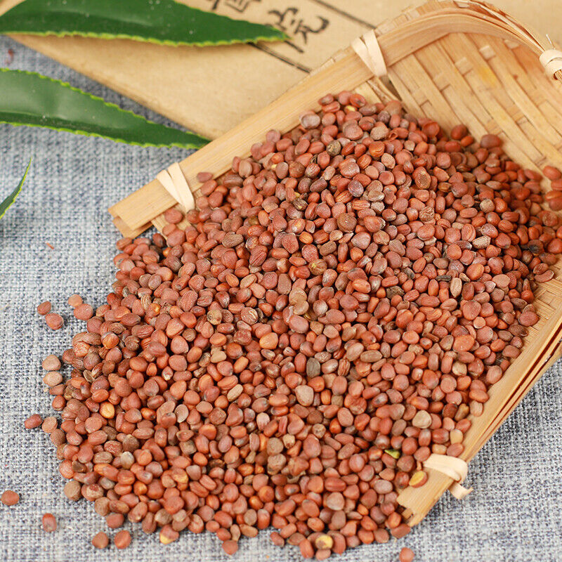 HelloYoung 500g Radish Seeds Natural Organic High Quality Healthy Herbal Tea Luobizi 萝卜子