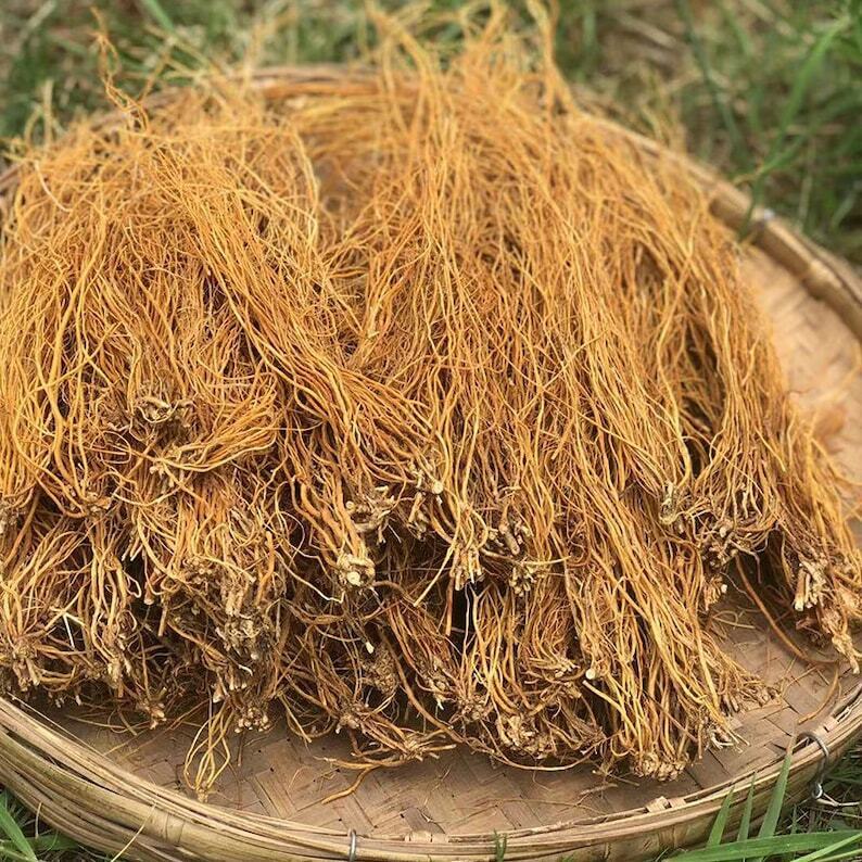250g Driedgentian root Long Dan Cao Herb Gentiana Radix Medicinal Chinese Herbs Secondary image