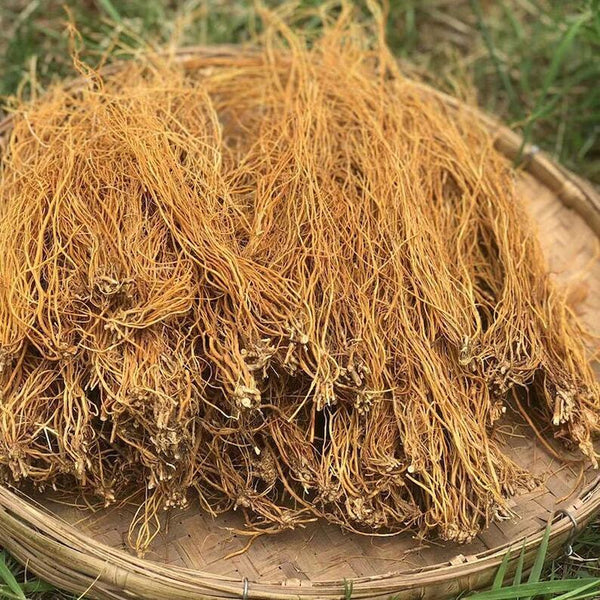 250g Driedgentian root Long Dan Cao Herb Gentiana Radix Medicinal Chinese Herbs