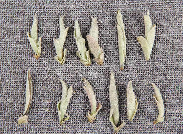 HelloYoung Yunnan Raw Tea Leaves White Buds Spring Tea Raw White Bud Spores Pu'er Raw Tea