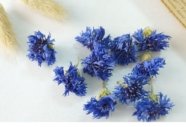 HelloYoung Cornflower petals new stock cornflower dried flowers bulk cornflower 17.6oz