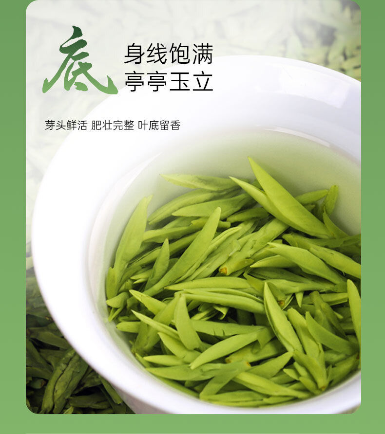 Organic Longjing Tea Bagged with Good Tea and Fresh Green Tea High-quality 30g