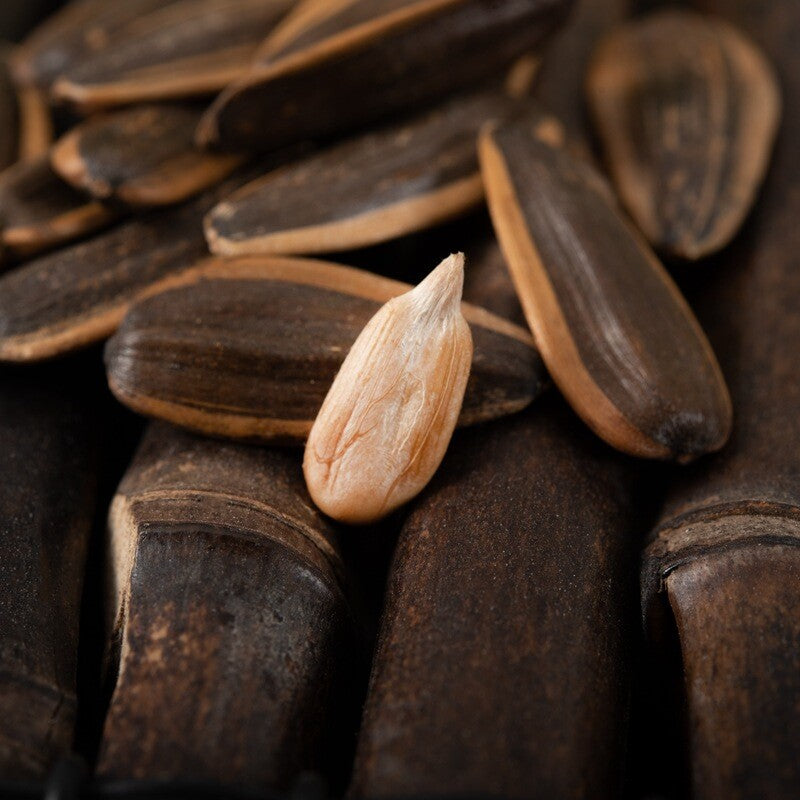 Large Melon Seeds,Caramel Pecan Flavor Sunflower Seeds Roasted Seeds Nuts Snacks