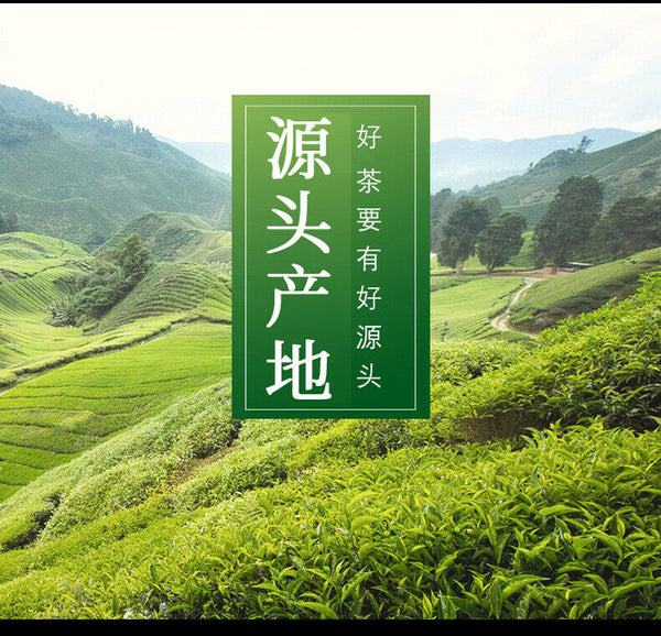 Longjing Tea Green Tea 2024 New Tea Bean Fragrance Authentic High End Gift Tea