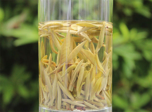 HelloYoung300g Old Fuding white tea cake natural organic Chinese white tea silver needle