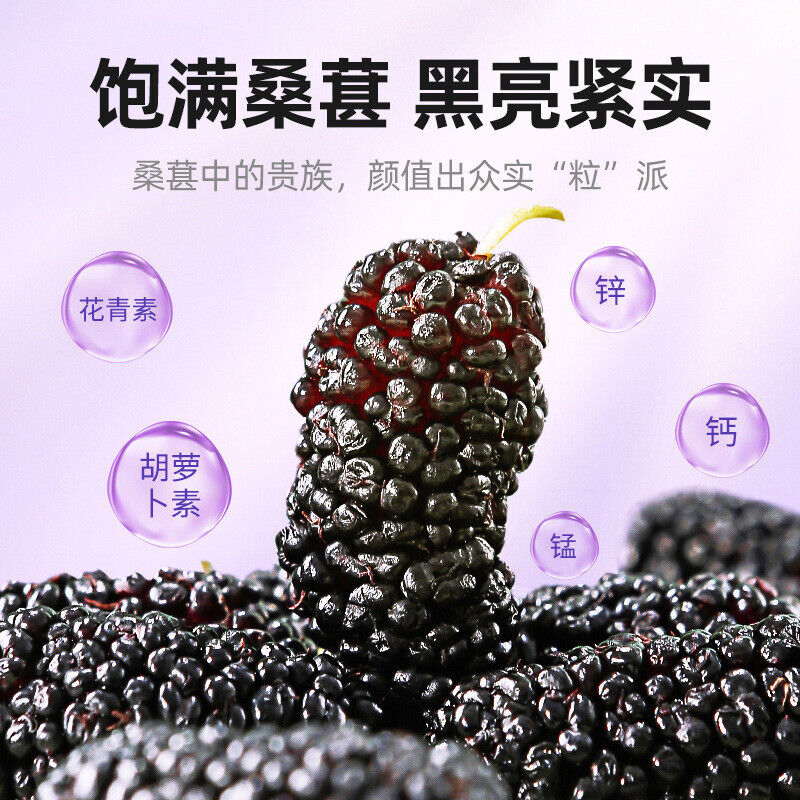 HelloYoung 200g Dried Black Mulberries No Sand Premium Grade Sweet and Fragrant Main image