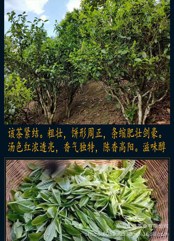Pu'er Ripe Tea Cake Pu'er Tea Ancient Tree Fermented Ripe Tea Palace 357g