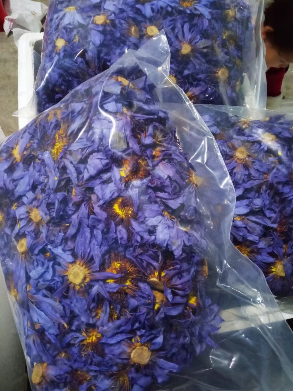 Beauty and Relaxation Lotus Flower Tea New Harvest Blue Lotus Dried Flowers