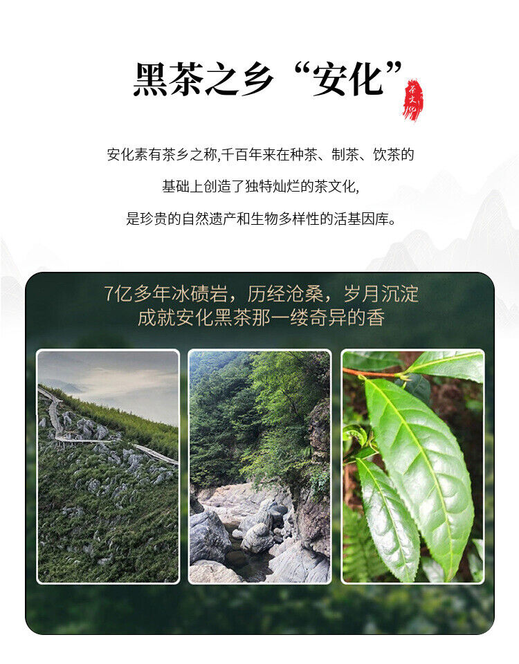 HelloYoung 1kg Hunan Anhua Black Tea Aged Tea Hand-built Fu Brick Golden Flower Black Tea