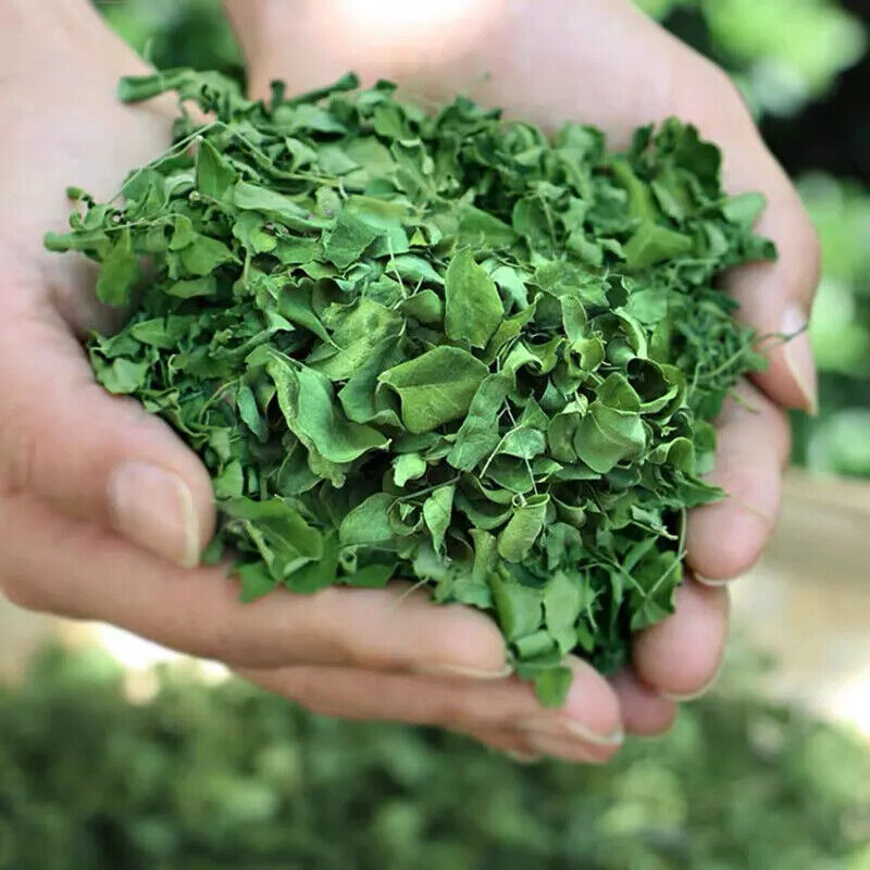 Organic Moringa Leaf Herbal Tea Main image