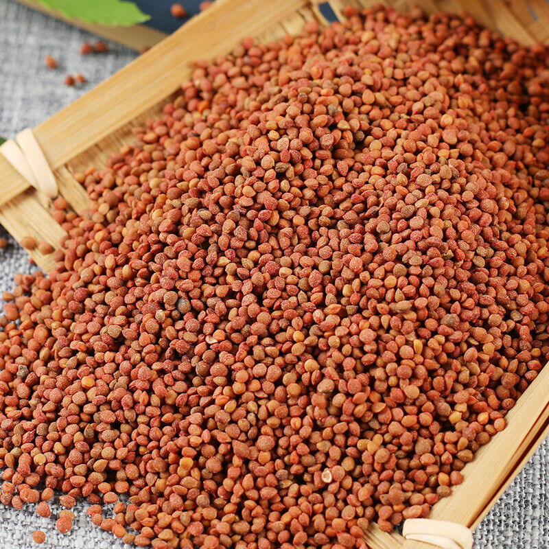 HelloYoung 500g Featured Natural Healthy Herbal TeasChu Shizi Top Quality Health Care 精选楮实子