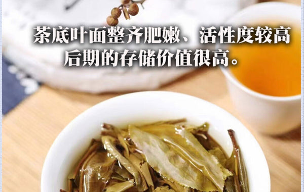 2021 Yi Wu Luo Shui Dong Raw Pu-erh Cake 200g Premium Sheng Puer