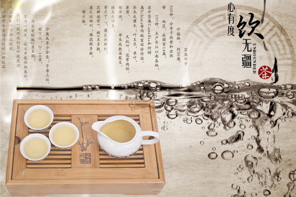 Jasmine Flowers Green Tea Jasmine Flurries Chinese Tea Green Jasmine Flower 50g