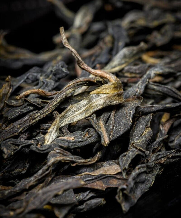 HelloYoung Yunnan Puerh Raw Tea Loose Tea Yiwu High Mountain Ancient Tea 100g/3.52OZ